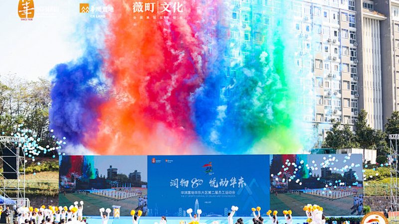 本地直播代运营：揭秘成功案例背后的关键要素**